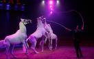 Prohibir el circo con animales dejaría a más de 3.500 familias en la calle