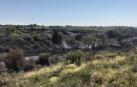 Un incendio calcina diez hectáreas en Mélida