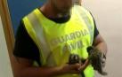 Cuatro detenidos en Sevilla por robar tres monos Titi de un zoo