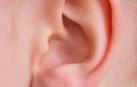 El último reto viral: ¿qué palabra escuchas en este audio?