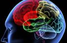 Las emociones que procesa el cerebro de forma inconsciente influyen al tomar decisiones