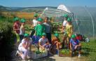 La fórmula más demandada en estos campamentos es: deportes, naturaleza e inglés