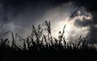 Lunes con tormentas intensas por la tarde en Navarra en una semana de bochorno