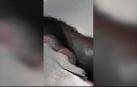 El volcán Kilaluea amenaza una central de Hawai