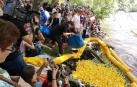 Carrera de patos de goma en el Arga por los enfermos neurodegenerativos