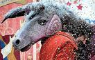 'Astorkillo circus' para la programación municipal infantil en euskera