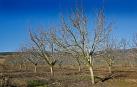 26,8 millones de ayudas de la PAC en Navarra se abonarán desde mañana