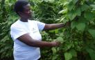 Africanas emprendedoras en el campo buscan salir de la pobreza gestionando su tierra
