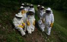 Abejas para el Señorío de Egulbati en Egüés