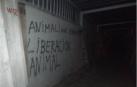 El Frente de Liberación Animal reivindica el sabotaje en los corrales del Gas