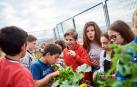 Familias de alumnos en ESO y 1º de Bachiller: “Los que han aprobado se aburren”