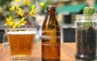 El zurito ya se sirve embotellado