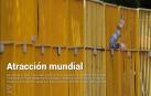 Además, la instalación de pararrayos en los árboles de más envergadura de Pamplona.