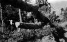 Arrastrados por machos o bueyes, suspendidos en un sistema de cables y por el río Irati, el traslado de troncos nutrió el aserradero de Ekai entre 1920 y 1958. Los barranqueadores reconducían la madera por el río. La red de cables forestales se extendió, al menos, a 126 puntos en Navarra