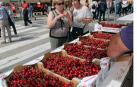 La localidad ribera ha celebrado este domingo una nueva edición de esta popular fiesta