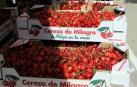 El domingo 17 de junio Milagro honró a su fruto más preciado con la puesta en marcha de la XIX Fiesta de la cereza. Cerca de 15.000 personas se acercaron hasta esta localidad para hacerse con sus cajas de cerezas, además de disfrutar del variado programa de la jornada. Este año, el consistorio ribero convirtió al deporte en protagonista, homenajeando a varios deportistas y clubes locales.