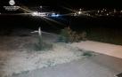 Sorprenden a 6 menores rompiendo árboles en el parque del Ferrocarril de Pamplona