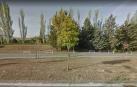 Un gran árbol cae en la avenida de Navarra y lesiona al trabajador que lo talaba