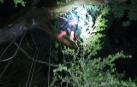 “Estoy colgado en un árbol”