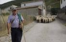 Pastor a diez minutos de Pamplona