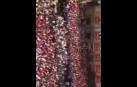 Vídeo de los gaiteros en la Plaza Consistorial tras el chupinazo