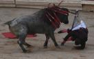 Los astados de Escolar llevan el peligro por la tarde a la plaza de toros