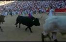 Vídeo exclusivo | La imprudencia de un 'pata' que cita a los toros al llegar a los toriles