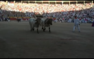 Sancionado con 600 € un corredor irlandés por llamar la atención de los toros