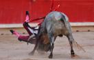 DIRECTO | Javier Castaño, cogido de forma violenta en el cuarto toro de Escolar