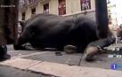 Un toro choca con violencia contra el vallado de Mercaderes aplastando a un mozo