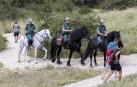 Un tercio de las infracciones contra el medio ambiente acaban en multa
