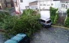 Evaluación de daños y labores de limpieza en Tafalla tras la tormenta de este viernes