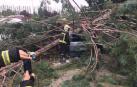 Varios heridos tras la caída de un árbol en la Universidad de Navarra