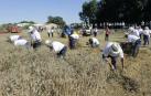 Mundo rural 'vintage' en Miranda de Arga