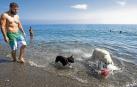 Perros en una playa de Motril.