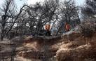 Grecia se vuelca en la búsqueda de desaparecidos tras los trágicos incendios