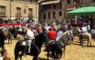 Los asistentes disfrutaron de una jornada donde la degustación de cordero, la trashumancia o el concurso de recortadores fueron los protagonistas