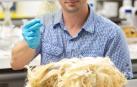 Idean un método para generar plástico biodegradable con residuos de lana