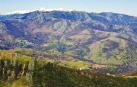 Muere un ciclista tras chocar con un corzo en la sierra de Madrid
