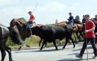 Larraga albergó el pasado fin de semana su ya tradicional Fiesta de la Vaca Brava, que este año cumple su decimoctava edición. Además de la exhibición de doma a caballo en la plaza, vecinos y turistas pudieron disfrutar por tercer año consecutivo de una espectacular trashumancia desde los campos de la villa hasta la plaza del consistorio y una degustación de cordero de denominación de origen navarro para los paladares más finos.
