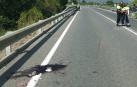 Mueren dos ciclistas arrollados por un coche en Tarragona