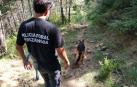 La autopsia al peregrino fallecido en Izco relaciona su muerte con el calor