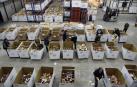 Una asociación promueve que el IVA de compras para bancos de alimentos se done