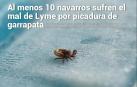 Además, el accidentado quinto encierro del Pilón de Falces.