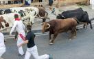 Los toros de Ángel Macua se estrenan en el tercer encierro de fiestas de Tafalla 2018, 17 de agosto