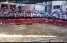 Susto en la suelta de vaquillas de Murchante