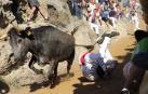 Confusión en el último encierro del Pilón tras escaparse varias vacas