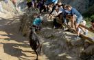 Las vacas de la ganadería Teodoro Vergara, de Falces, protagonizan el octavo encierro del Pilón de fiestas de Tafalla 2018, con varios corneados y vacas escapadas