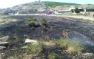 Efectivos de bomberos sofocan un incendio en Santacara
