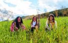 La Reina Flowers cierra este lunes los conciertos de la plazuela de San José